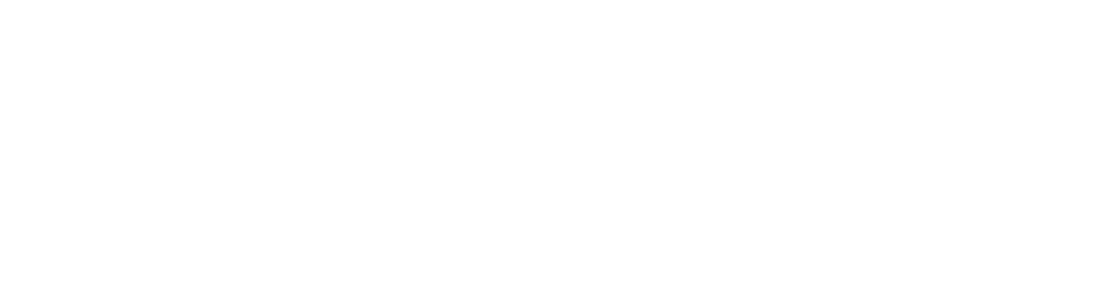 ACA Secondary Logo